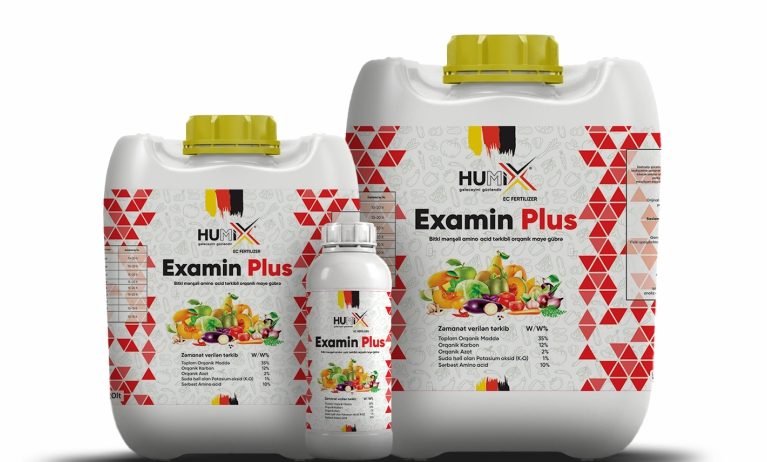Examin Plus