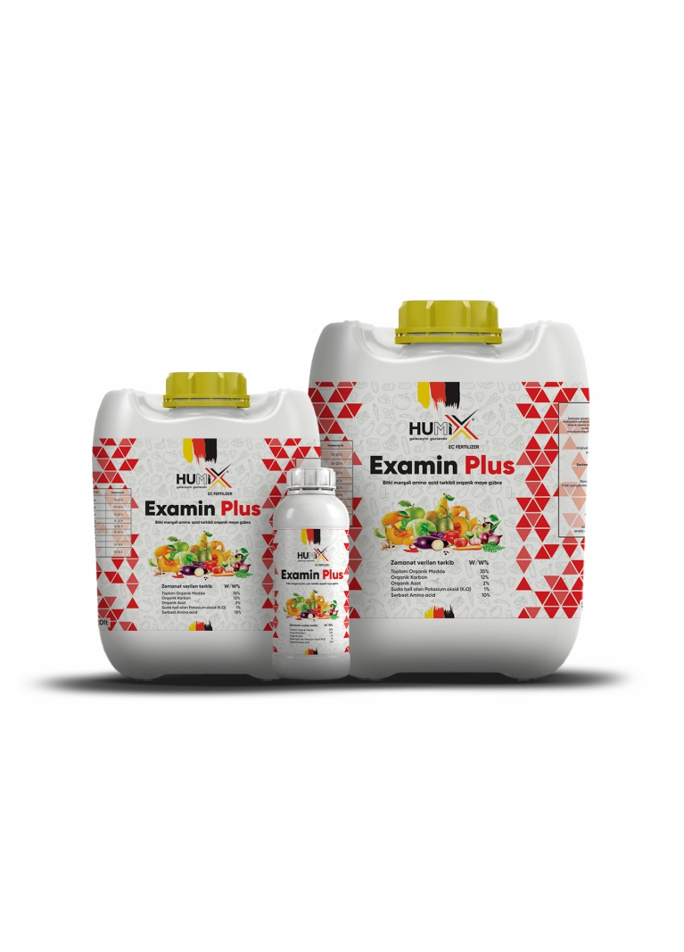 Examin Plus