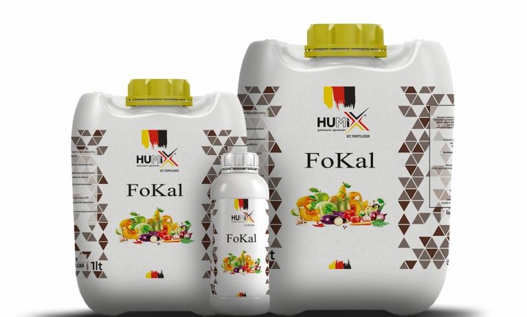 FoKal