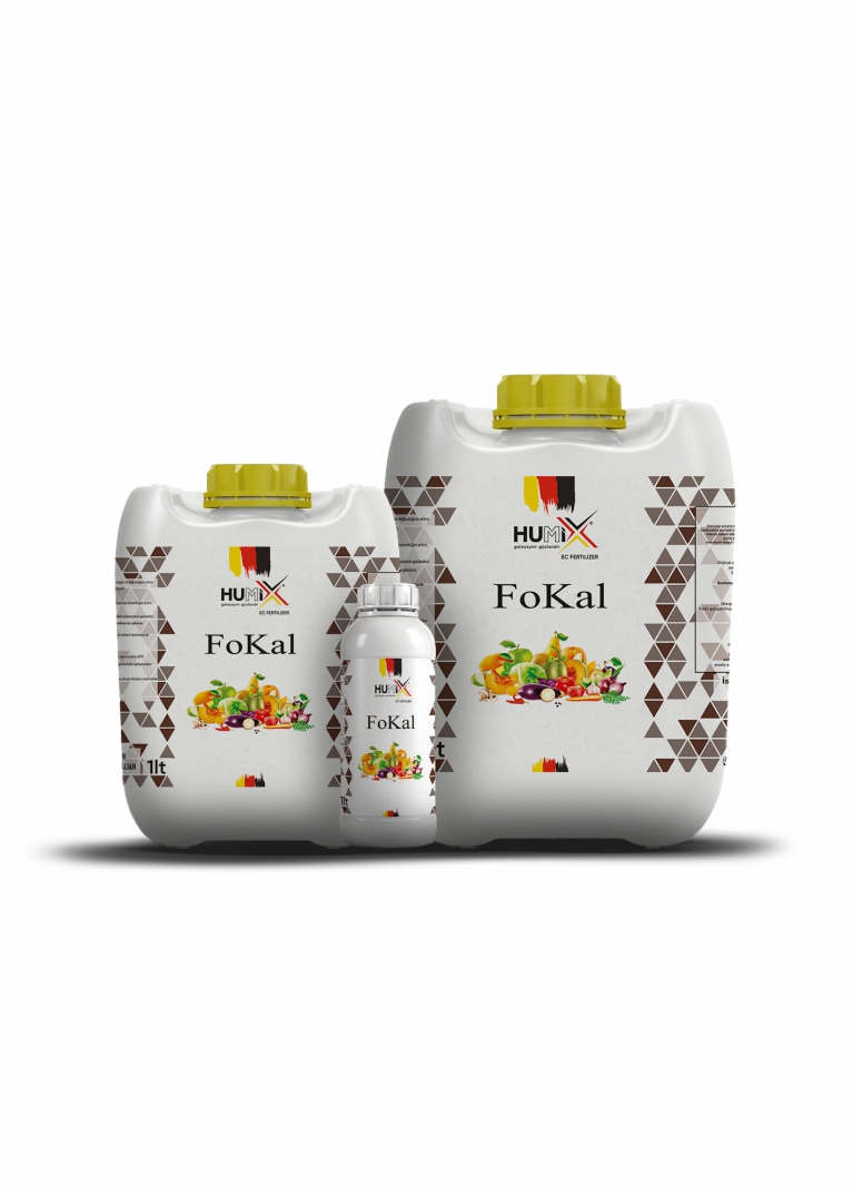 FoKal