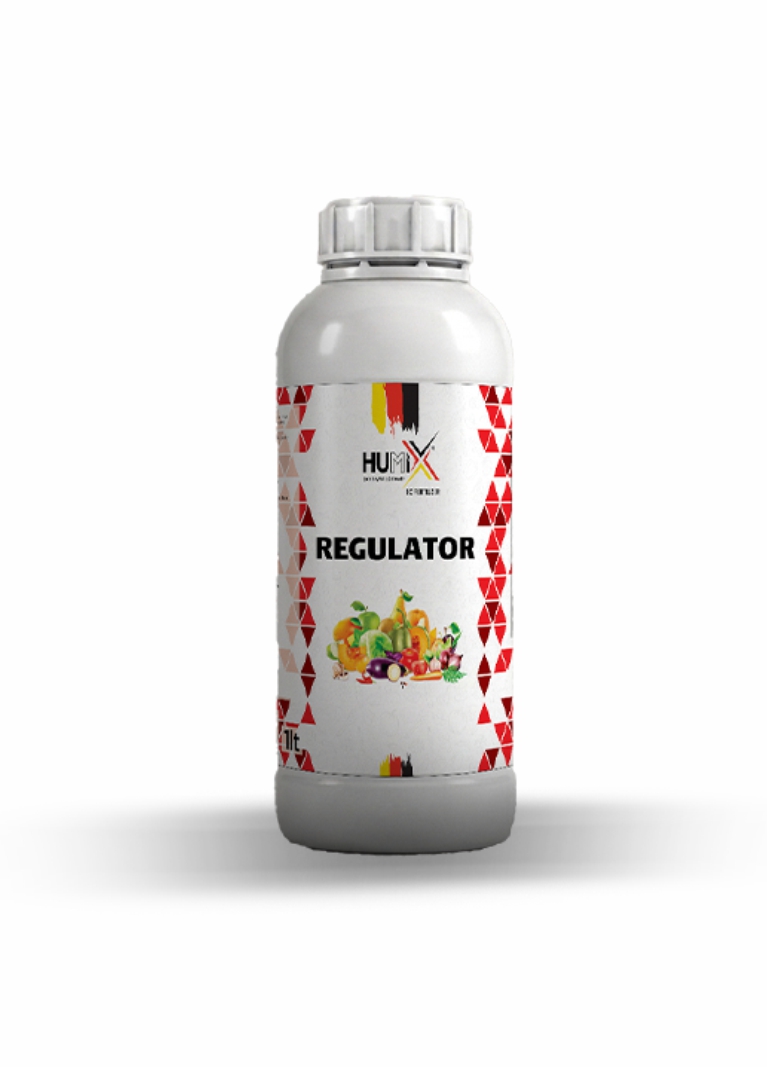 Regulator